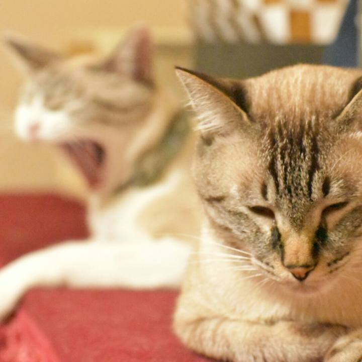 2a0ee64a a0f0 44c6 9982 64f7a8a671e7