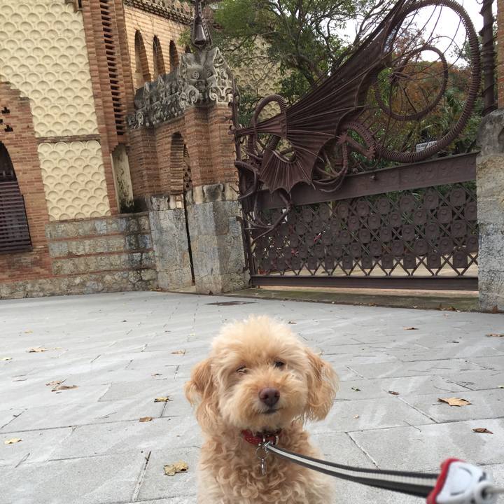 2a0f3660 dd8e 4823 9dca 2b623371d14e