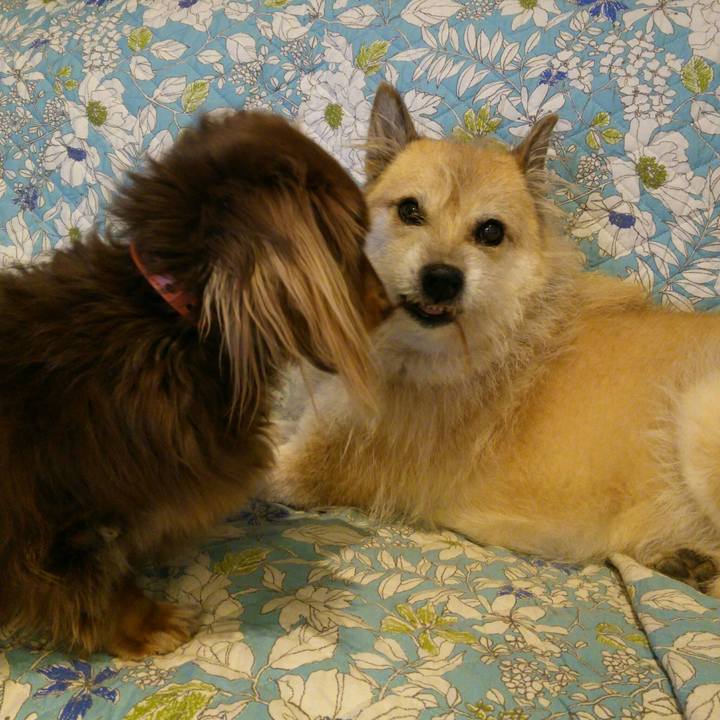 2a0f456b f11f 4634 9309 a2f1b6a71521