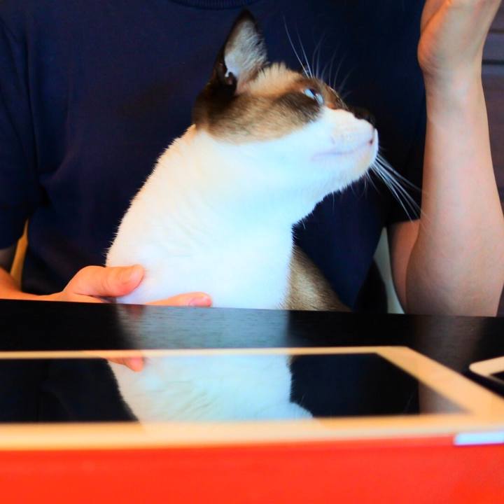 2a0f9bb9 c525 45f0 a79e 8584e819e23b