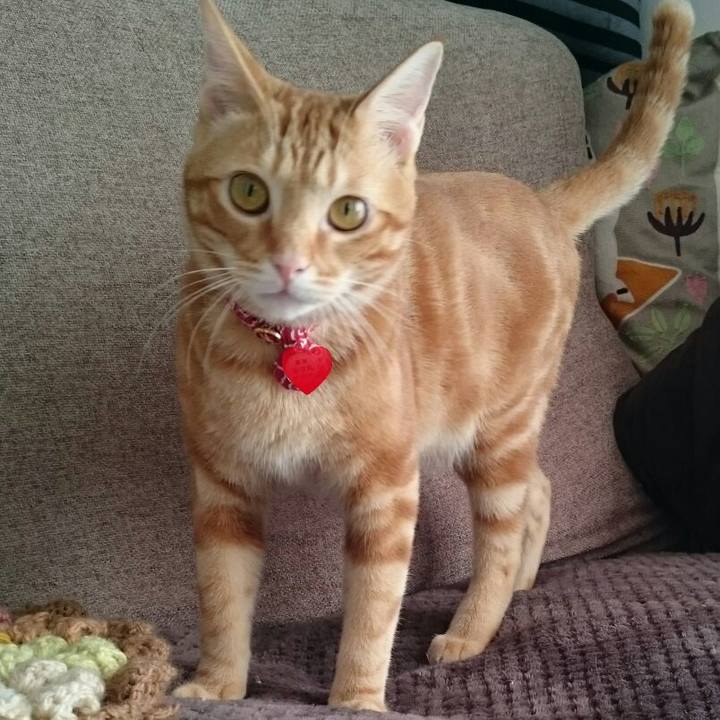 2a0fc898 ad97 4526 86ad 7a98a9d27803