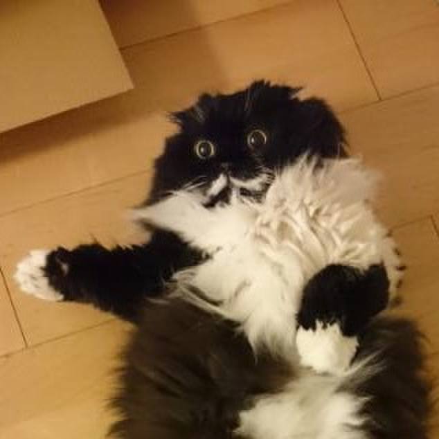 2a0fdf30 f671 4f3e a7b0 7a7726a40bb6