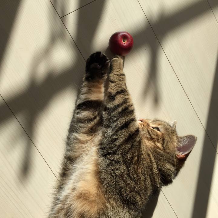 2a108f27 f3d7 4768 9816 a19b5f0df8ca