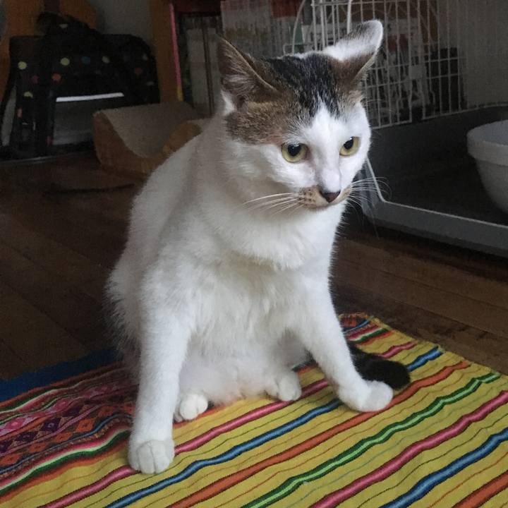 2a10b32b 7ff4 4eb4 8e8c 50dbd2629b93