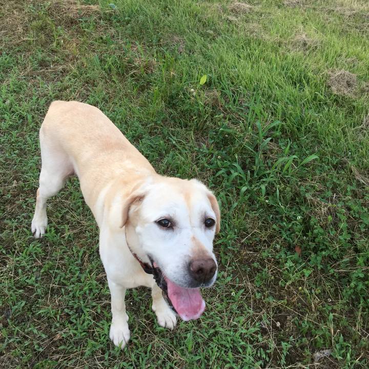 2a10e995 4aa2 423a bbbe 191626eb9fbb