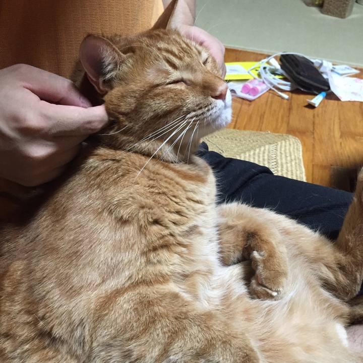 2a1141d9 4d78 4e52 9d69 b3b6912f1672