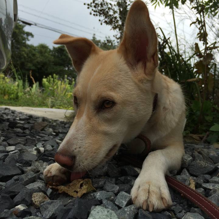 2a1188f1 6a91 4134 bff5 c5ac55b52037