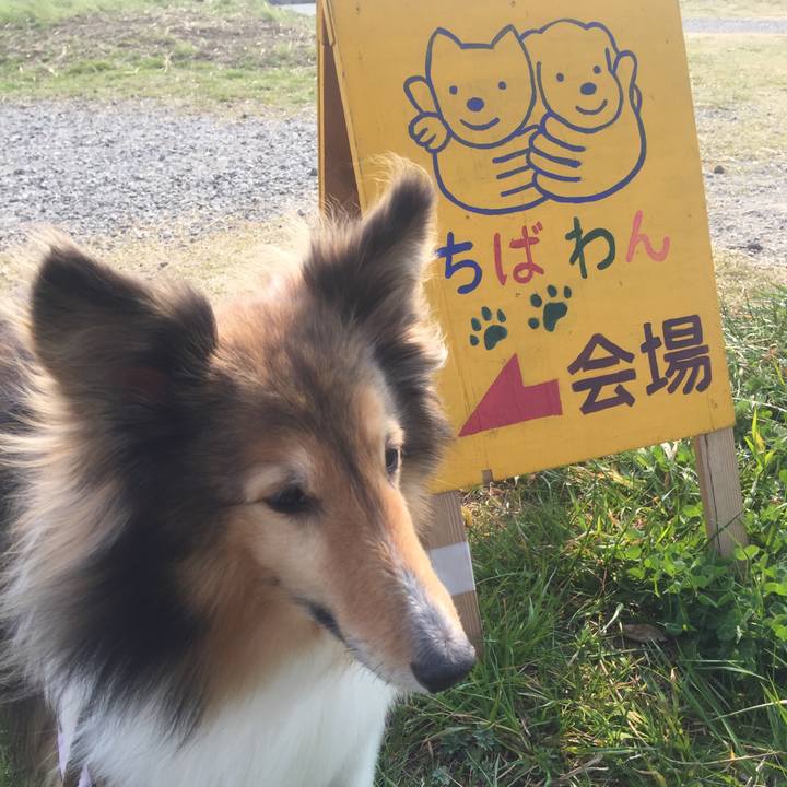 2a11dd13 46e4 4b69 a394 bf8c1abb3368