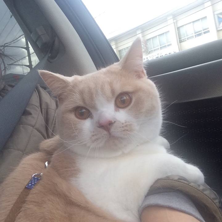 2a12ee26 877c 4f29 92f6 19f9ada0f86b