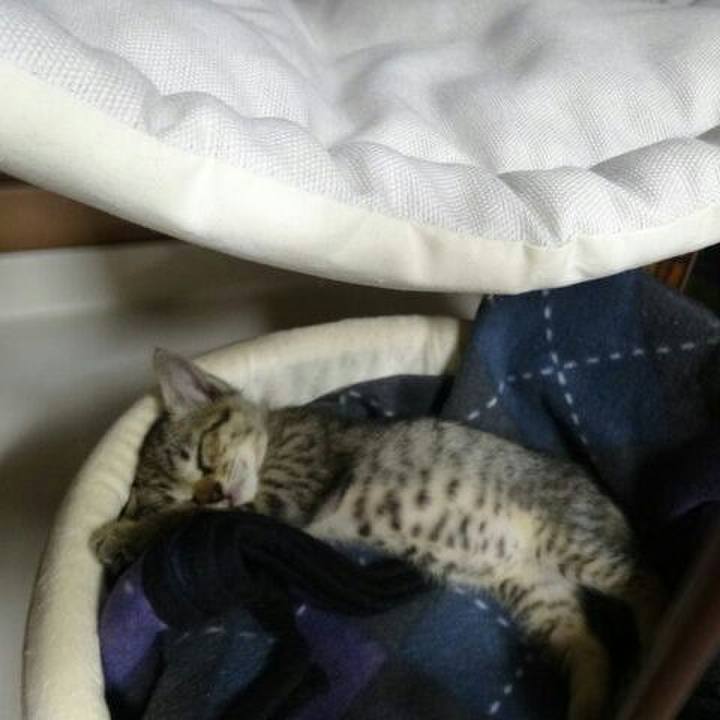 2a13204e 7334 4f0e a97e 4ca6eaaa4941