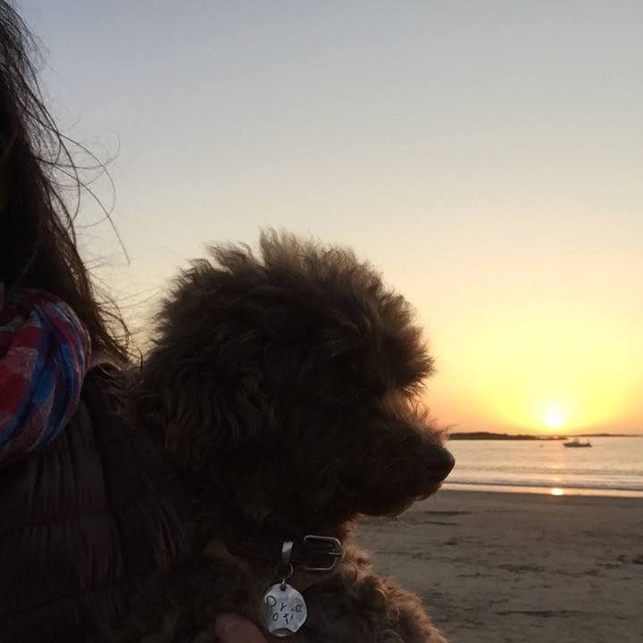 2a13d3d2 5fe1 4d41 9462 72fa024dec12