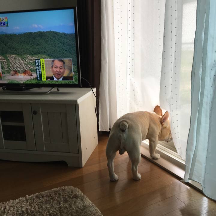 2a13de58 cab3 4e4c bb39 81d275725ca3