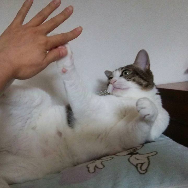 2a1478fa 7c26 43b6 a4c3 1a7bb59ddfe9