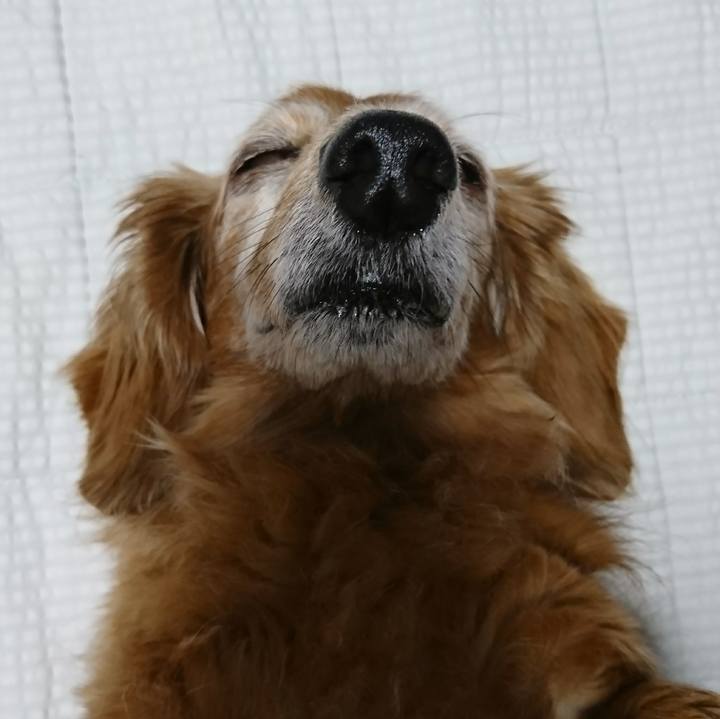 2a149f7a 947a 46b8 9760 6f8406ad0180