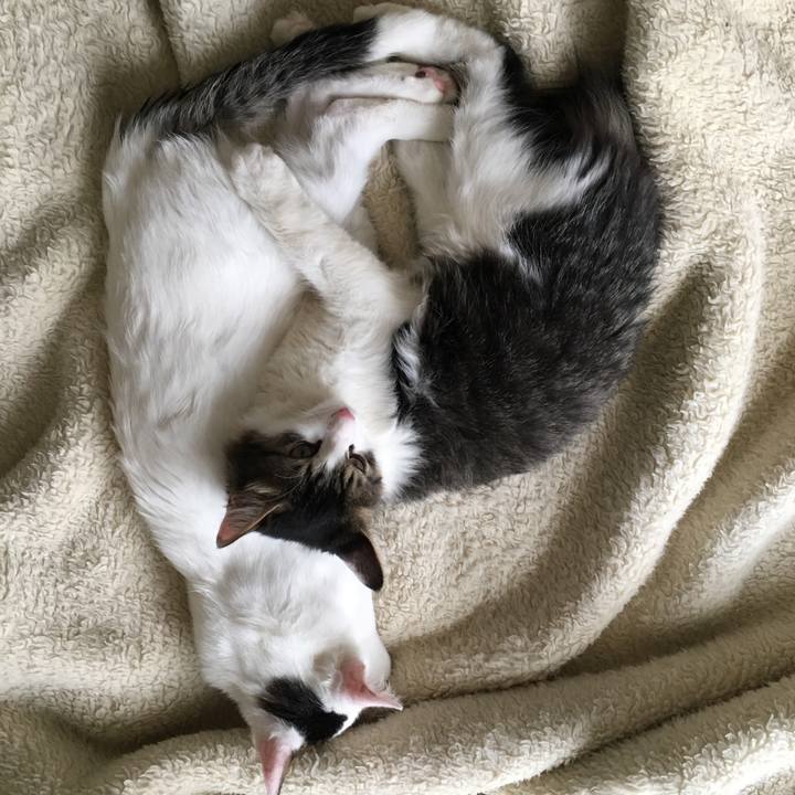 2a1529ae aabe 4352 9313 82f7b9eaf79c