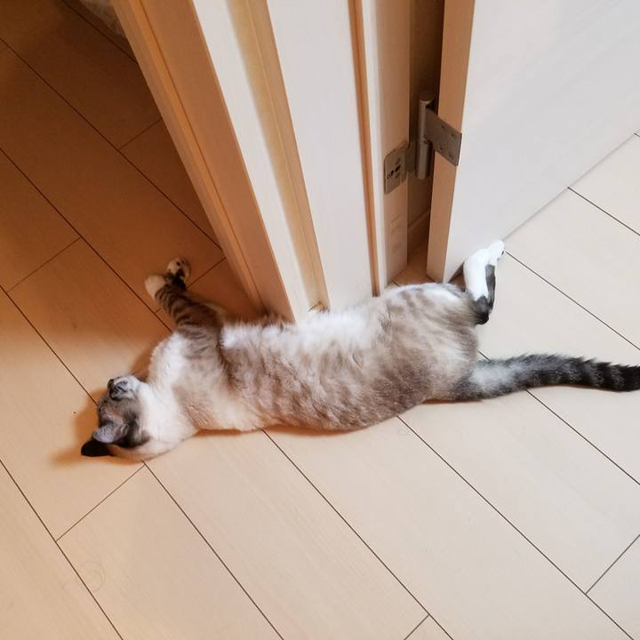 2a155871 230d 4ab7 815a 989c3383746c