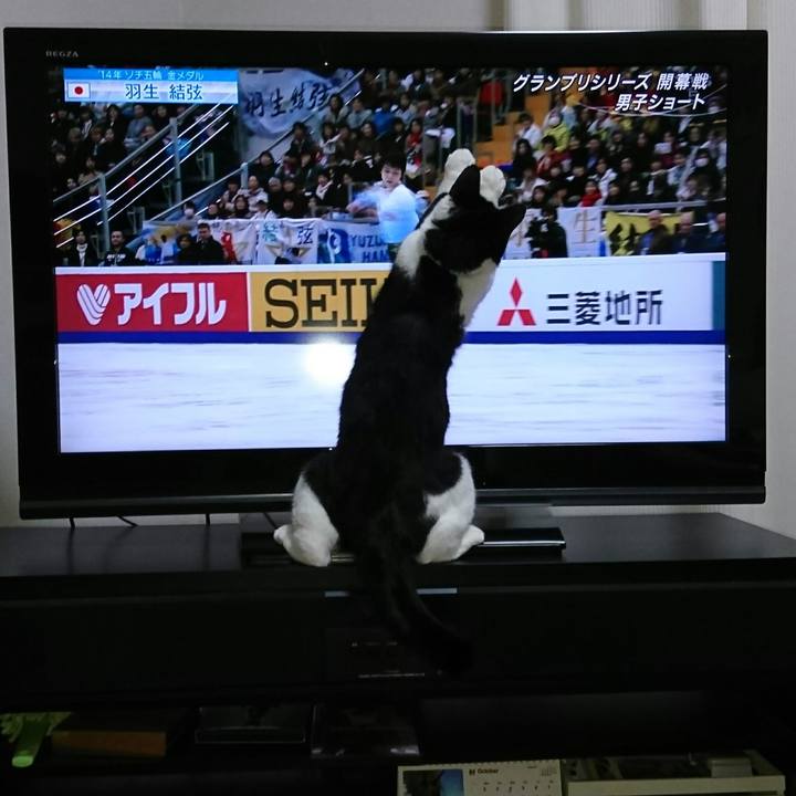 2a15f873 607a 4074 b0b1 c354cd7eaf6a