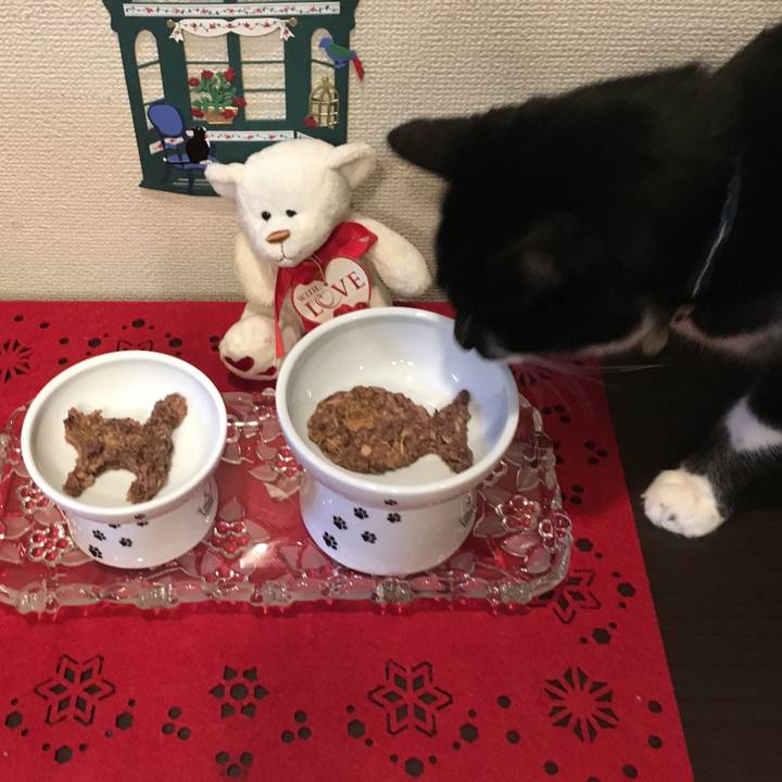 2a161333 bdc3 41ed 85df 4fd686bcf1d2