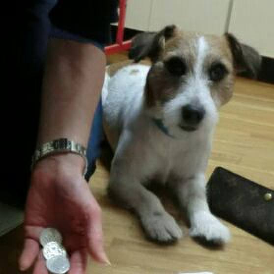 2a161b4b c8eb 4943 a1e6 60b68d41e45c