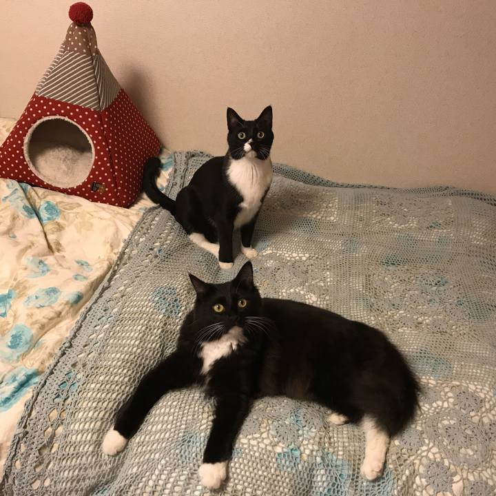 2a162482 91c8 4c4c 8a41 cc49bacebae6