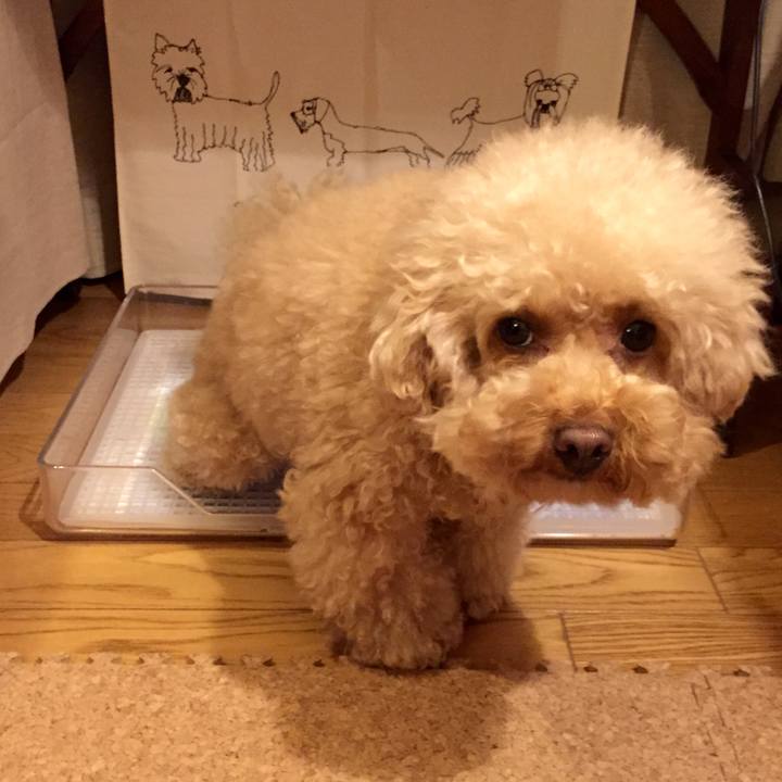 2a168a64 96e0 4407 aaca 253487b4b557