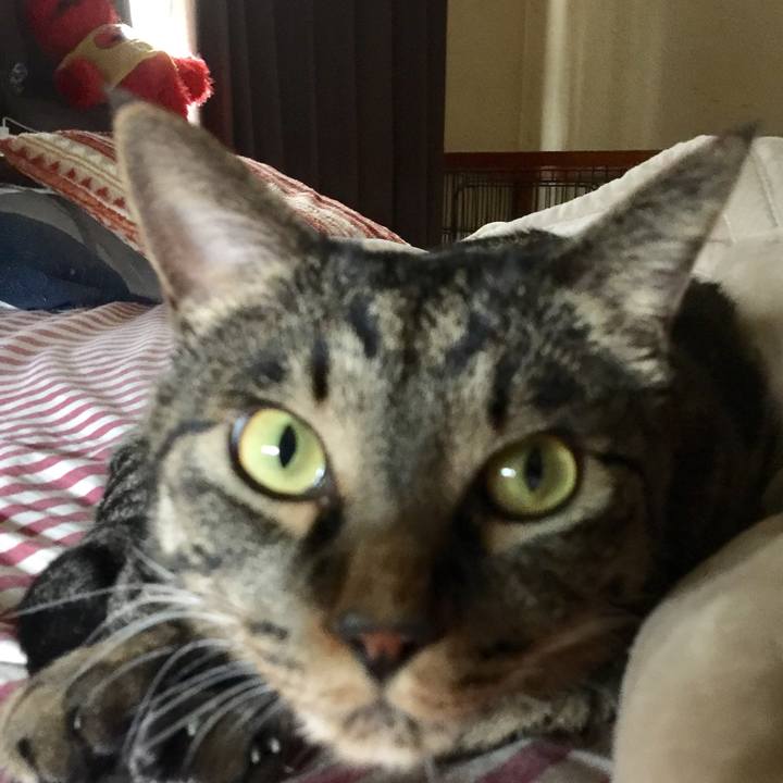 2a16abd1 3a77 496a aebc 3200270a6f9f