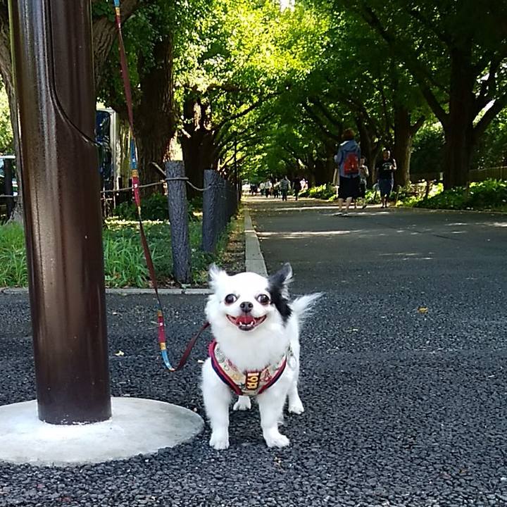 2a17d025 6200 4e19 b694 4b2d3c34a2be