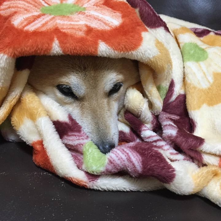 2a1828d6 dcde 469f b076 afadf28a5f21