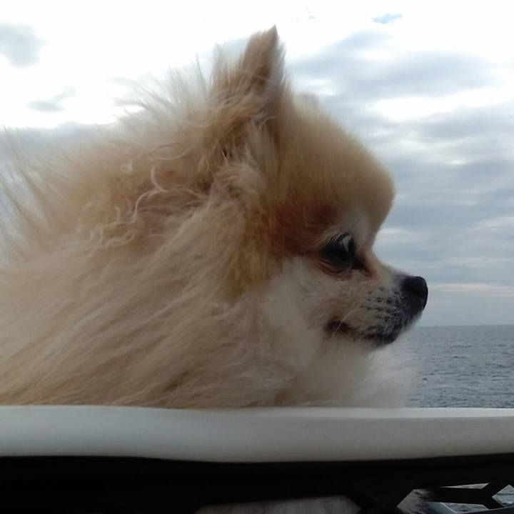 2a193c41 375c 4780 922d 08981ee6bdb8