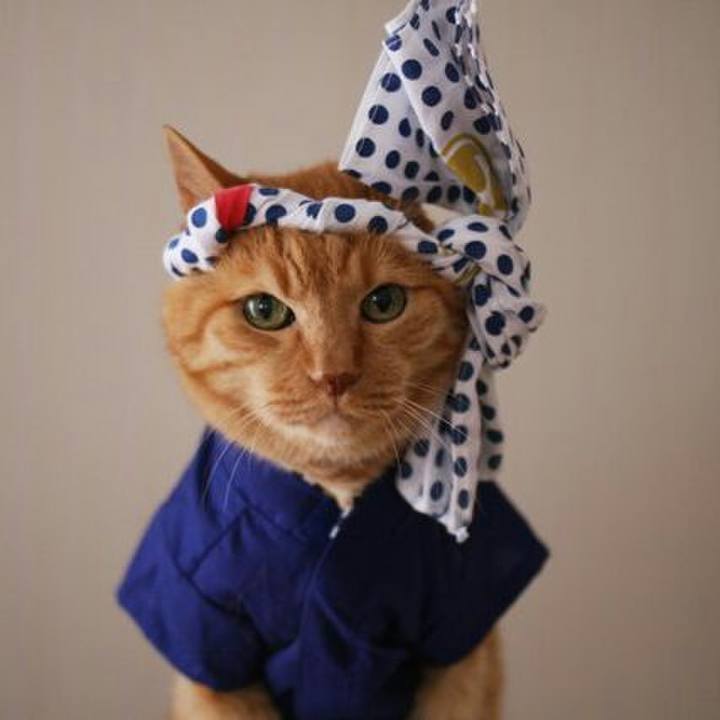 2a194119 e032 49b8 9ce3 958c91822ad5