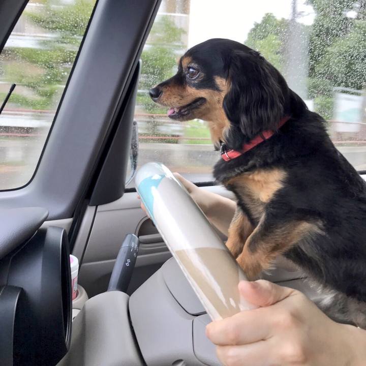 2a1967e0 13ae 4278 a784 51f9eb6bc3fe