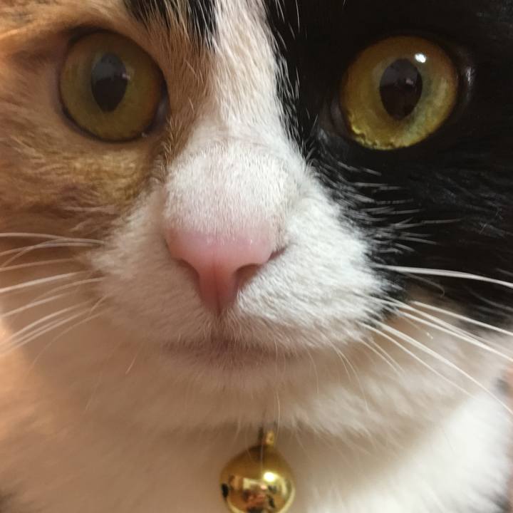 2a196aea a947 4072 b744 910b26142cba