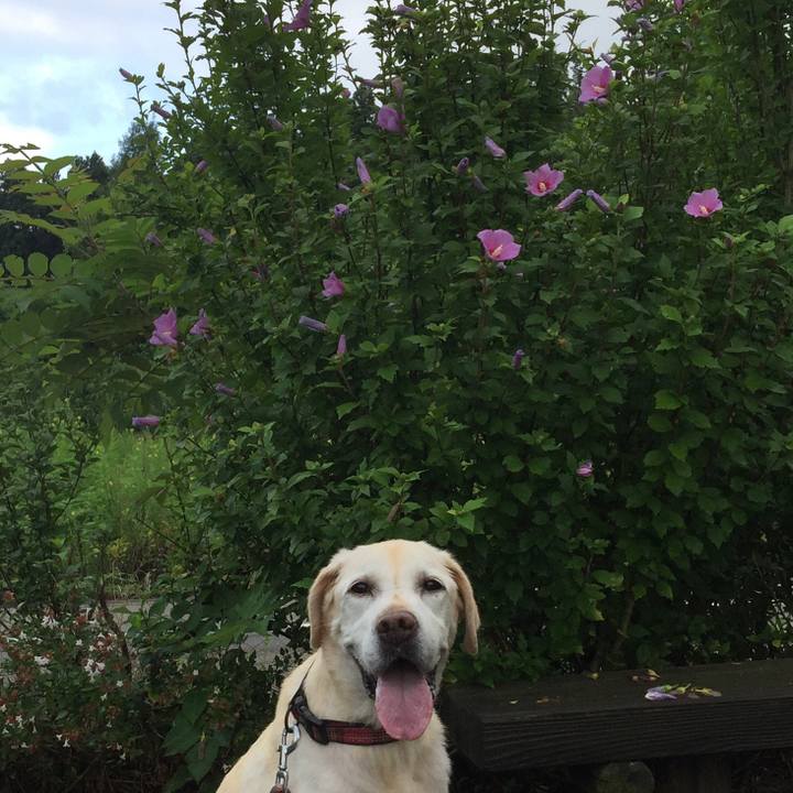 2a199f9b 4b24 4564 b4ad 81ca5377ffef