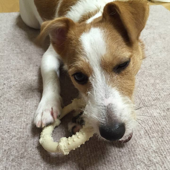 2a19dad8 9ff7 4707 bd6f 6263c0541ec1