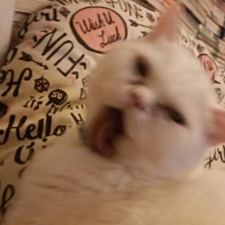 2a19fdc5 c432 4c3b 9d60 4b75773a661b