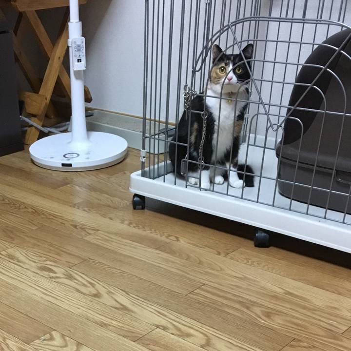 2a1a4627 5c43 4f47 b673 c9cf77ad8b5f