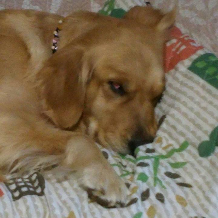 2a1ac9dc 1e90 4dda b1ed 866bbc81fb05