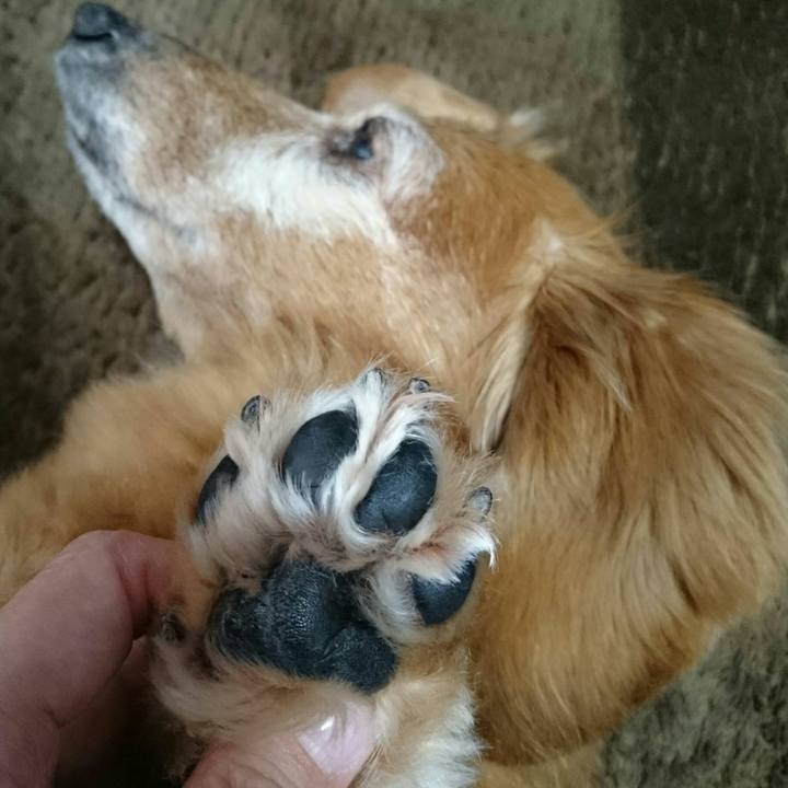 2a1b2b46 2876 4d66 83b8 34919649cf91