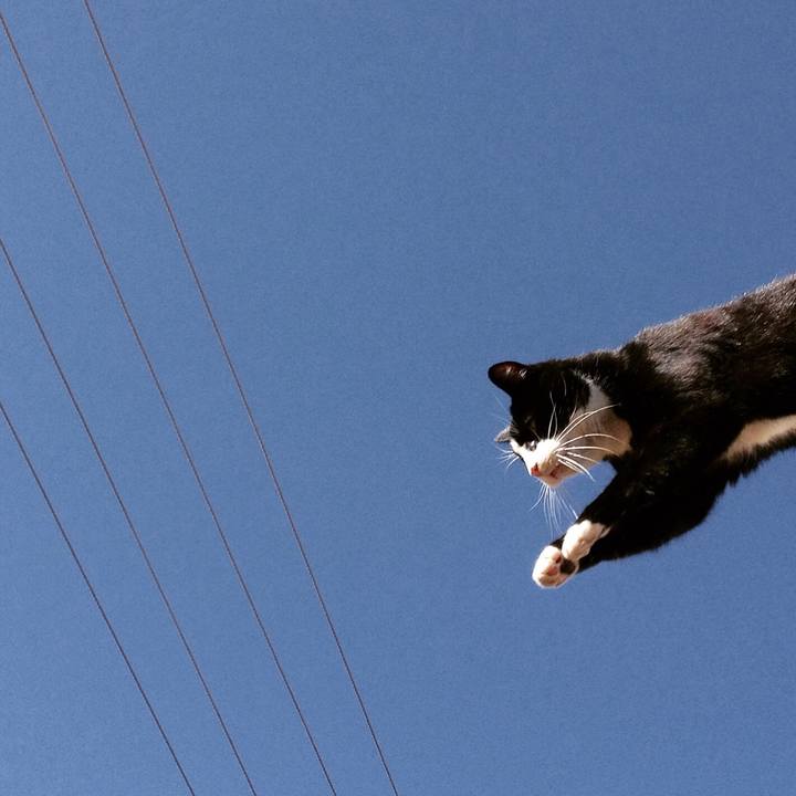 2a1b2c55 c9c0 4af4 8522 d97ab36bb5bb