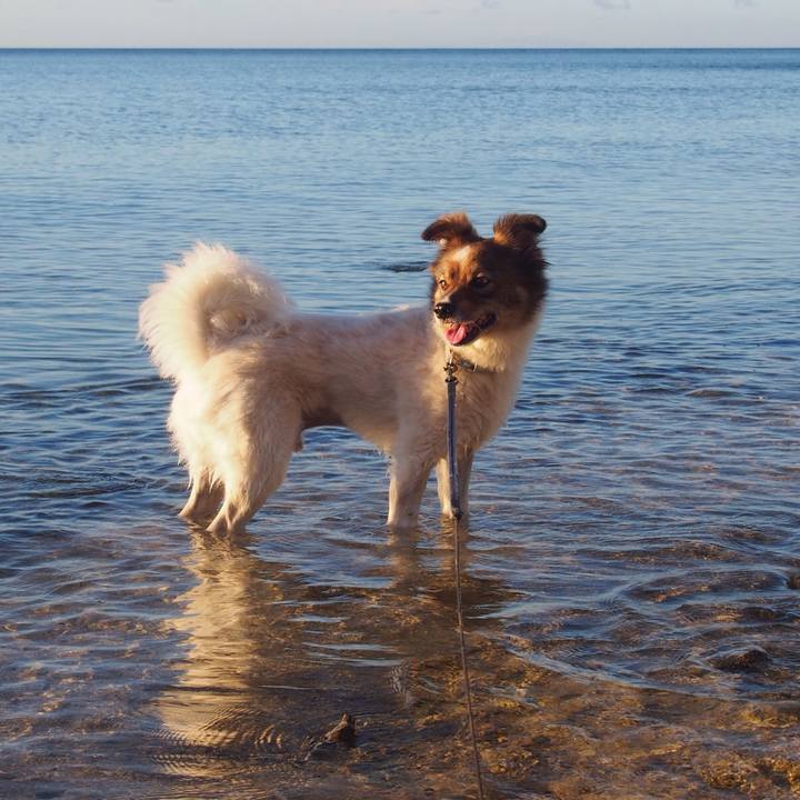 2a1bcd7b 036e 4c73 a9d4 8ef78146b690