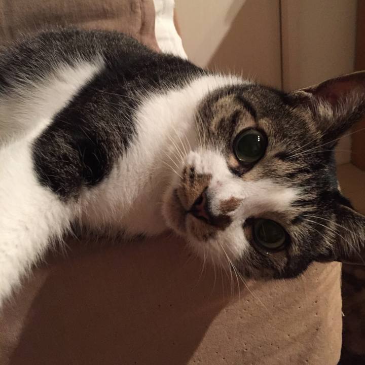 2a1c1cfa 32a9 4029 b2ec 513d3a413d1b