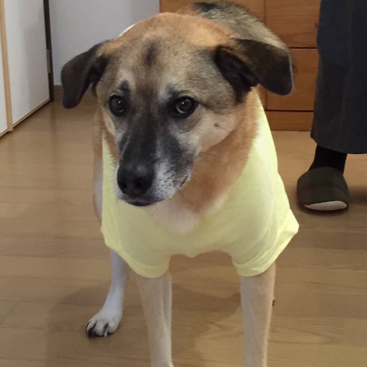 2a1c8a66 f3c8 4d1f 9835 67cd5fcfffcb