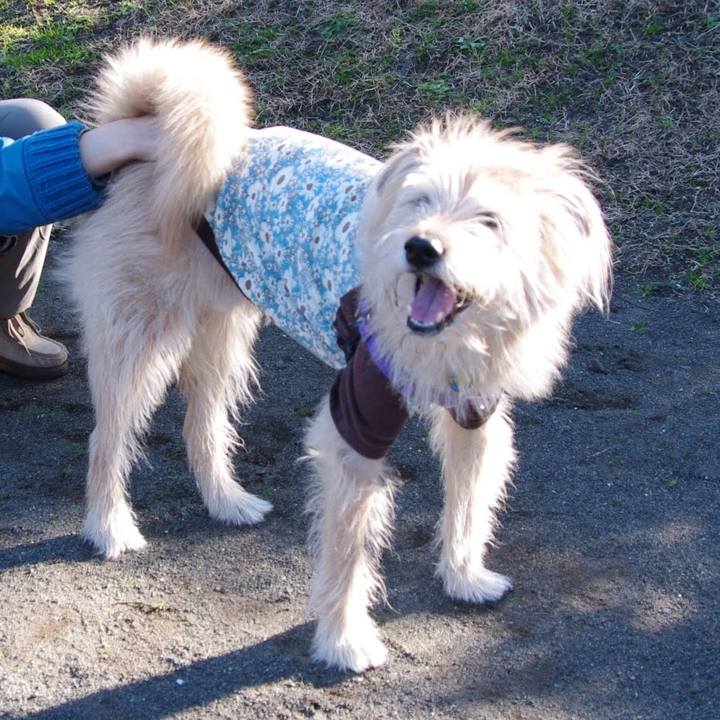 2a1ceeb2 5c50 487a 91db 8d45c0608d7a