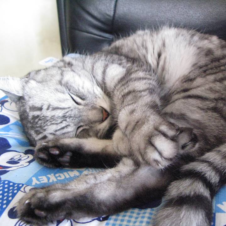 2a1d25d8 ff42 486f a66b 8ba2b9460c6f