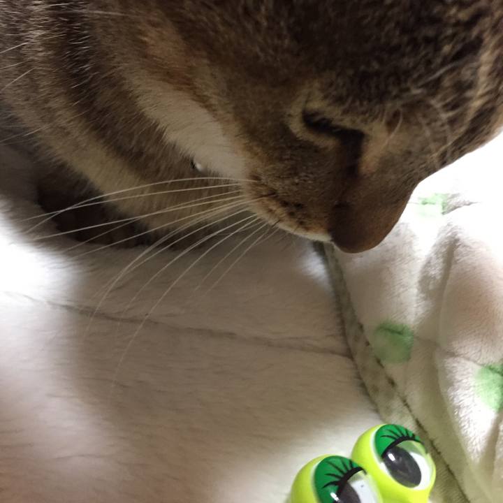 2a1d336c 2c1b 452d a617 a9d60a3696ab