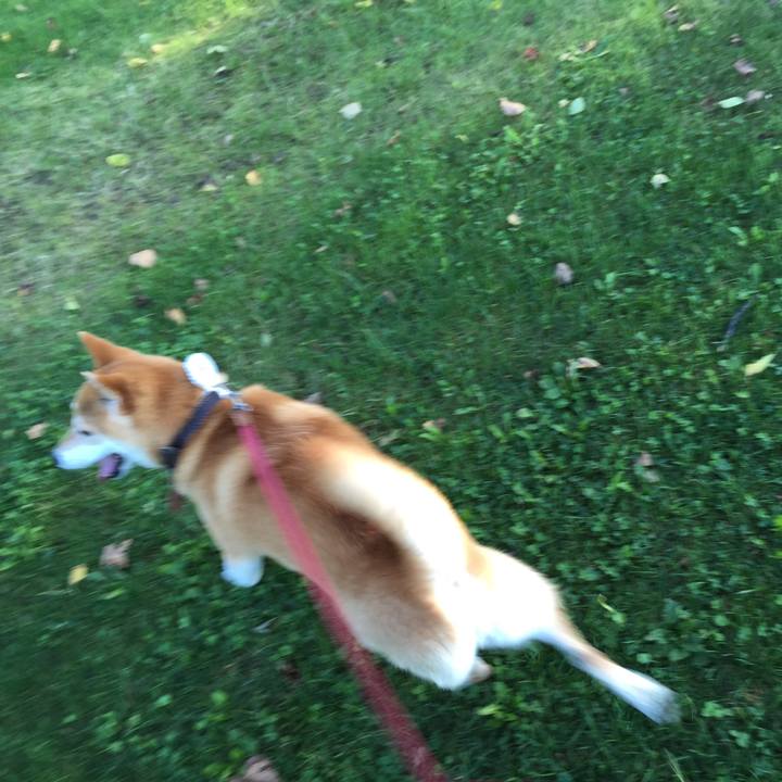 2a1d6065 b0e6 441f a3b2 3e90f1bf56b8