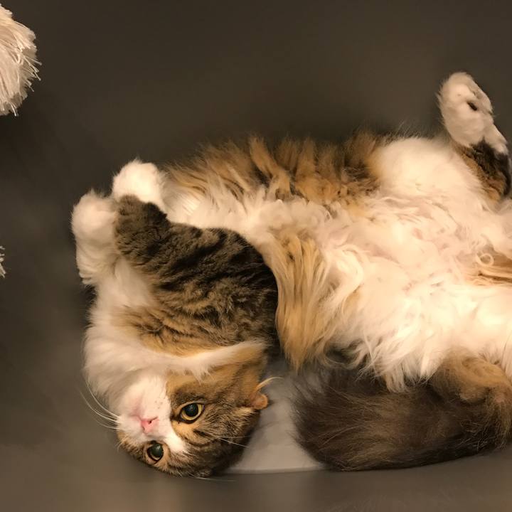 2a1dd931 6297 4029 b6ea d01d93e3d095