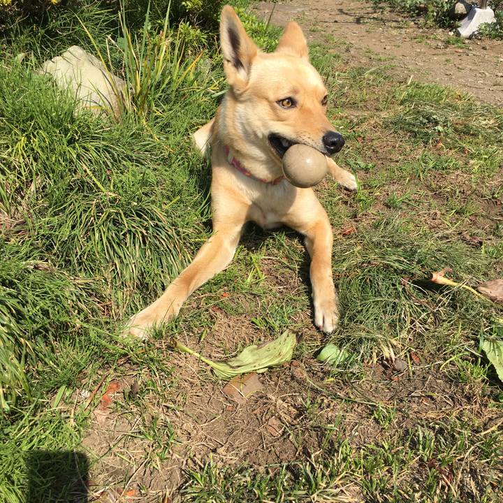 2a1df10b 95c3 463e 8b2a df16f6cebfa3