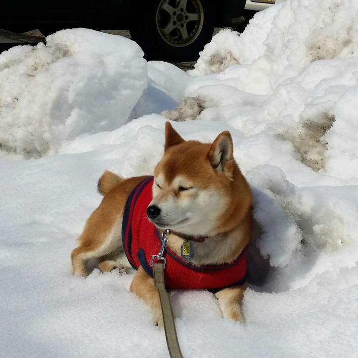 2a1e32c2 ca6f 4188 b5eb fe9de7ac5f65