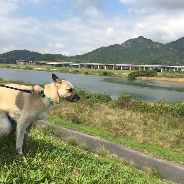 2a1e6086 a461 419c 9683 3ad00501a1b7